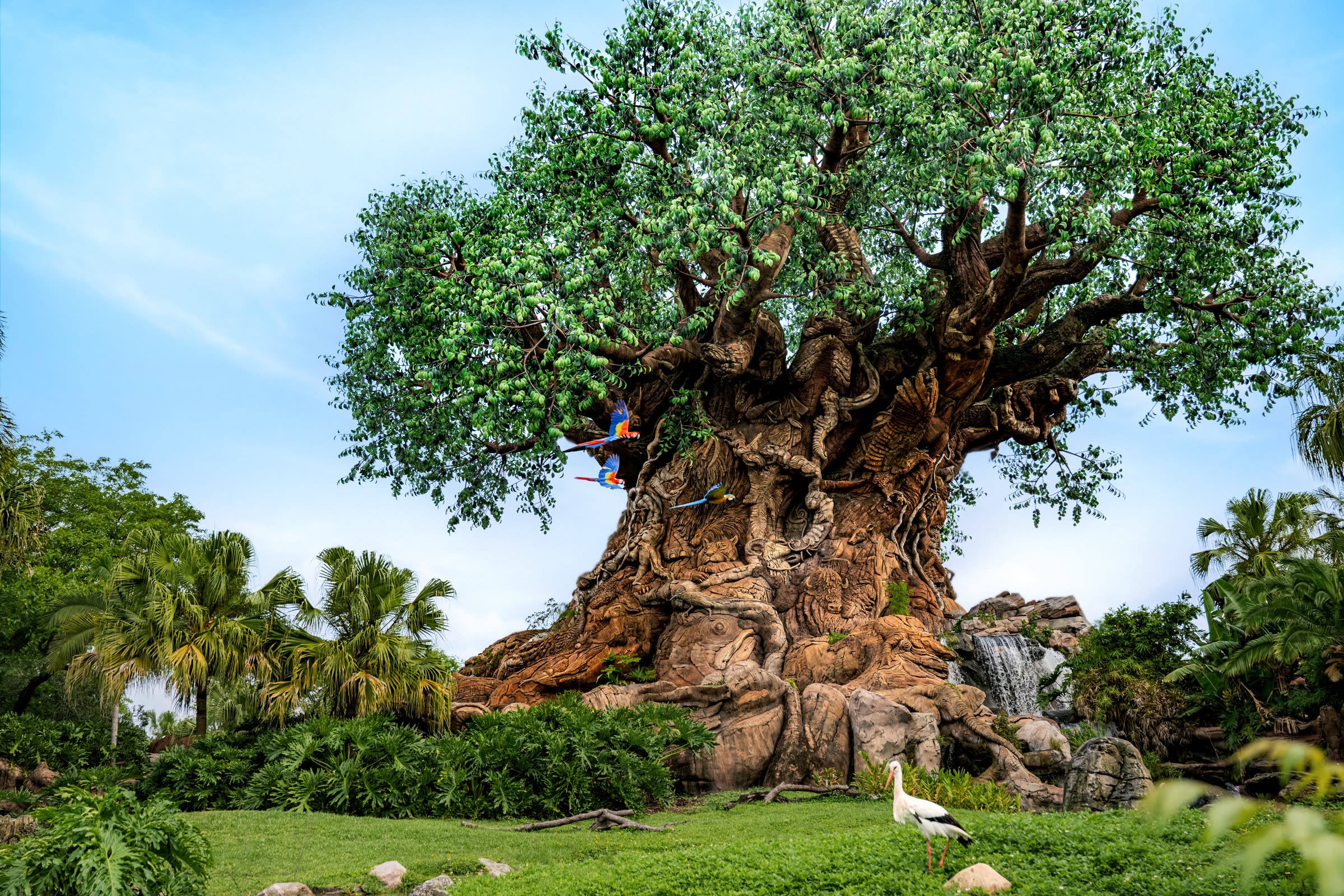 Iconic carved Tree of Life at Disney's Animal Kingdom